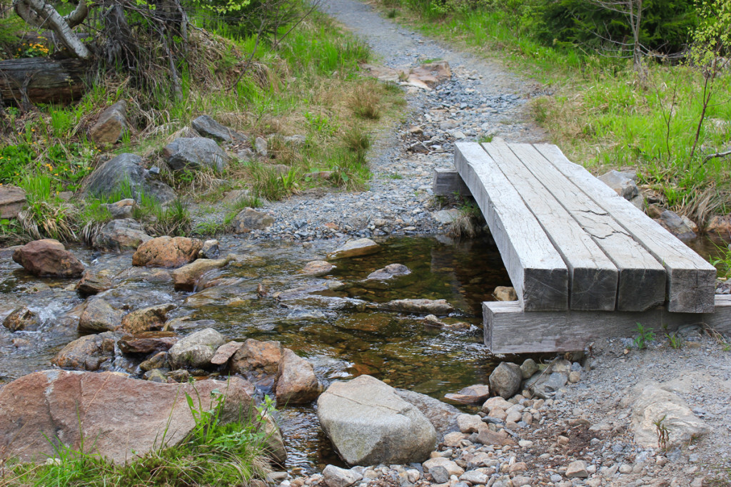 Bayerischer Wald Nationalpark Wandern
