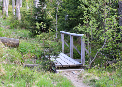 Wandern Rachel Felsenkanzel Bayerischer Wald