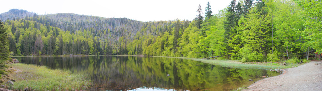 Rachelsee Nationalpark Bayerischer Wald