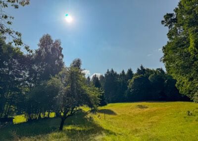 Wanderung Goldgräbersteig Hunding